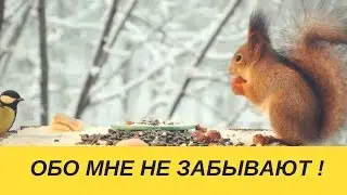 Кормушка для белки своими руками
