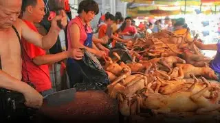 Discover the world's most unusual foods that might surprise you!