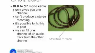 U1c9b: XLR to 1/8" Mono Audio Converter for Video Production