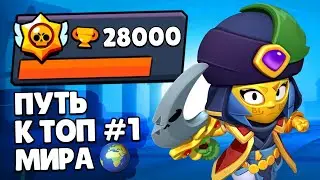 THE PATH TO THE WORLD'S TOP 1! Primes, Leveling Up, Skins in Brawl Stars!
