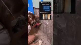 Lots of different things to do 