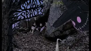 Small Spaces by Katherine Arden Book Trailer