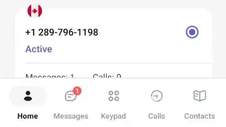 🎉New methods 💥 Get free Canada 🇨🇦 Whatsapp number sms otp trick