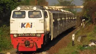 CUACA BAGUS NIH! HUNTING KESIBUKAN KERETA API DI SORE HARI