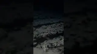 #дача #клубника #заморозки