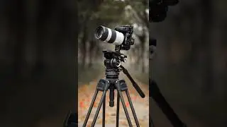 Smallrig Cage | Sony a7s 3 | Smallrig Cage | Sony a7s 3 | SmallRig AD-100 #viral #tripod #smallrig