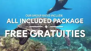 🎉 Discover Exclusive Cruise Deals with Celebrity Cruises & Cruiser Travels!