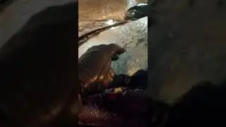 Ледяной дождь в Казани)))