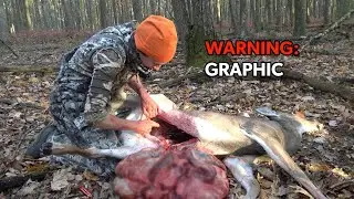 GRAPHIC: How to Field Dress - GUT a Deer