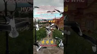 10 марта 2024 г.