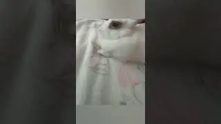 До конца😅!Милый кролик🥰 