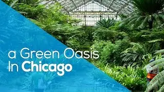 A GREEN OASIS IN CHICAGO / PARK / CONSERVATORY