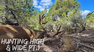 The Hunt That Surprised Us Both! | Hunting High & Wide PT.1