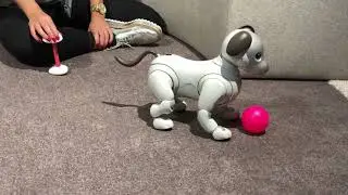 Sony aibo @ IFA18