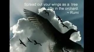 WINGS OF LOVE - Fusion of Poems By Rumi And Hafiz