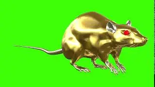 (Free video) Rat new year 2020 gold iron metal green screen mouse