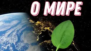 О ситуации в мире :З