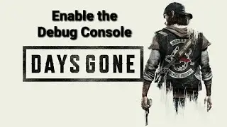 Enable the Debug Console Days Gone PC