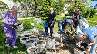 Субботник в Раевском саду 18.05.2024. Розы после майских морозов-обрезка на пенек.Чистим пруд.