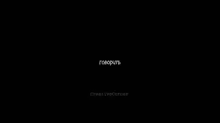 23 мая 2024 г.