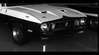 Japan's Ford Mustang Police Car - フォードマスタングパトカー - Weekly Car Facts Episode 6