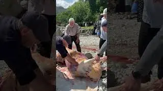 29 июня 2023 г.