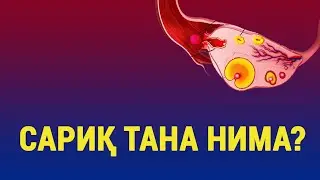 Сариқ тана нима?