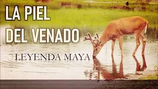 La piel del venado (Leyenda maya)