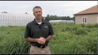 Cardno JF New.mp4