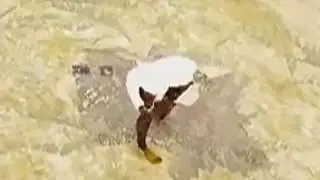 BDO Desync Mini-compilation