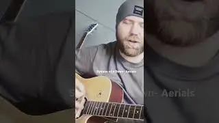 Russian man sings a song in English - System of a Down Aerials