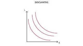 B.1 Función de producción | Producción - Microeconomía