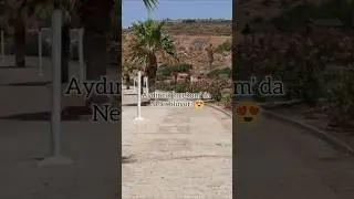 Aydıncık/İncekum'dan Güzel Bir Haber 😍