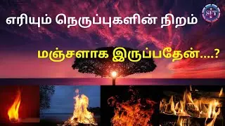 எரியும்🔥நெருப்புகளின் நிறம் மஞ்சளாக 🟡 இருப்பதேன்....? 🤔
