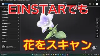 3DスキャナーEINSTARでも花をスキャンしてみた。