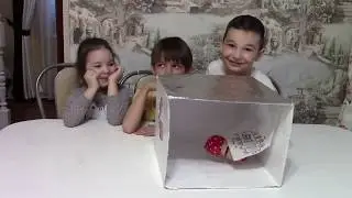 ЧЕЛЛЕНДЖ - Угадай что в коробке? Пощупай и угадай!