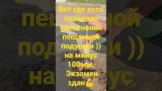 9 июня 2023 г.