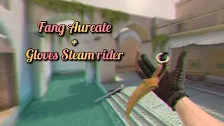 Fang Aureate + Gloves Steam rider