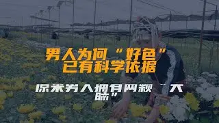 男人为何“好色”？已有科学依据，原来男人拥有两颗“大脑”