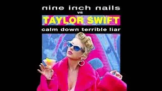 Nine Inch Nails vs Taylor Swift - Calm Down Terrible Liar (Mashup)