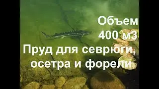 Пруд 400м3 для севрюги, осетра и форели