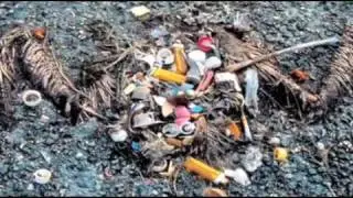 Charles Moore - the Great Pacific plastic trash island