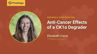 Video featuring Liz (Elizabeth) Caine discussing the topic of Anti-Cancer Effects of a CK1α Degrader