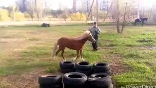 Первые прыжки рыжей пони^^