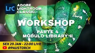 Workshop Adobe Lightroom Classic - Parte 04 - Módulo Library II