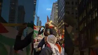 The march on washington DC 🇵🇸 #shorts  #palestine