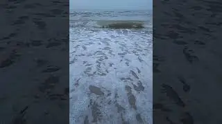 Море Кирилловка 2018