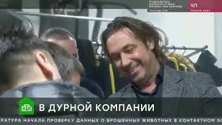 НТВ. Гафаров и Партнеры. Ущерб уже 43 000 000 рублей