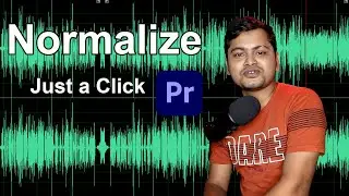 Why we use Normalize Audio in Adobe Premiere Pro