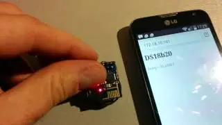 ESP8266 and DS18B20 mini web server
